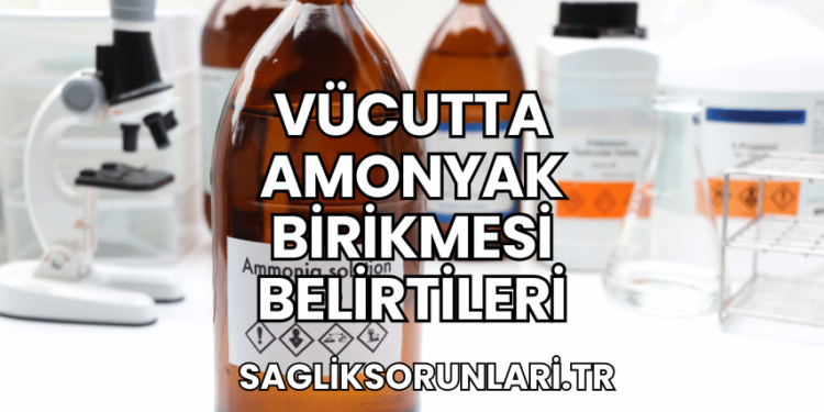 Vücutta Amonyak Birikmesi Belirtileri