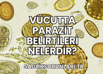 Vücutta Parazit Belirtileri Nelerdir?