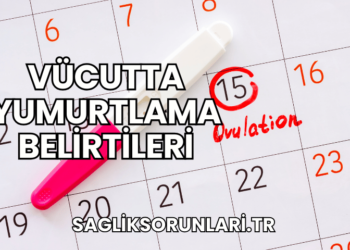 Vücutta Yumurtlama Belirtileri