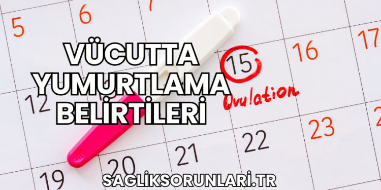 Vücutta Yumurtlama Belirtileri