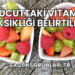 Vücuttaki Vitamin Eksikliği Belirtileri