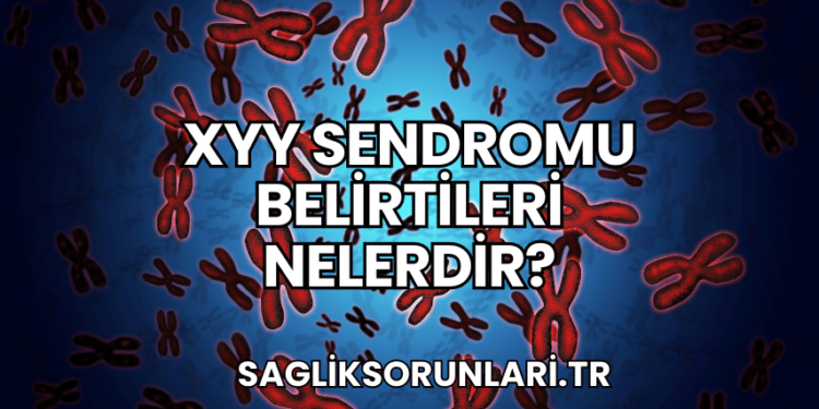 XYY Sendromu Belirtileri Nelerdir?