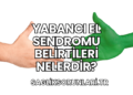 Yabancı El Sendromu Belirtileri Nelerdir?