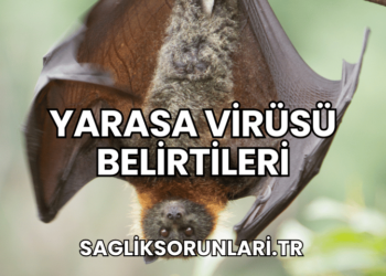 Yarasa Virüsü Belirtileri