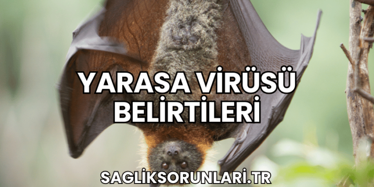 Yarasa Virüsü Belirtileri