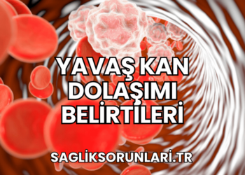 Yavaş Kan Dolaşımı Belirtileri