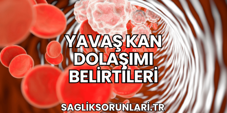 Yavaş Kan Dolaşımı Belirtileri