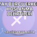 Yay Burcu Erkeği Hoşlanma Belirtileri