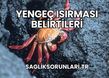 Yengeç Isırması Belirtileri
