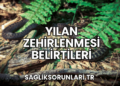 Yılan Zehirlenmesi Belirtileri