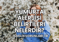 Yumurta Alerjisi Belirtileri Nelerdir?