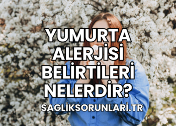 Yumurta Alerjisi Belirtileri Nelerdir?