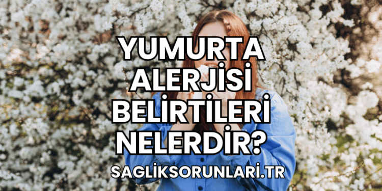 Yumurta Alerjisi Belirtileri Nelerdir?