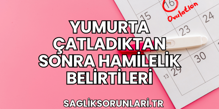 Yumurta Çatladıktan Sonra Hamilelik Belirtileri