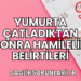 Yumurta Çatladıktan Sonra Hamilelik Belirtileri