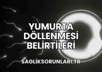 Yumurta Döllenmesi Belirtileri