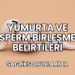 Yumurta ve Sperm Birleşme Belirtileri