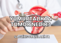 Yumurtalıkta Tümör Nedir?