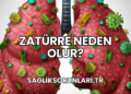 Zatürre Neden Olur?