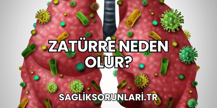 Zatürre Neden Olur?