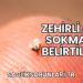 Zehirli Arı Sokması Belirtileri