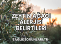Zeytin Ağacı Alerjisi Belirtileri