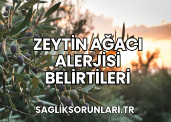 Zeytin Ağacı Alerjisi Belirtileri
