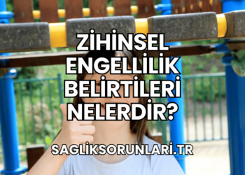 Zihinsel Engellilik Belirtileri Nelerdir?