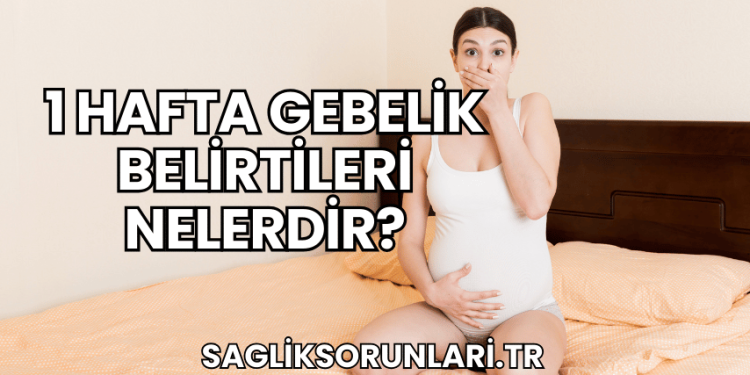 1 Hafta Gebelik Belirtileri Nelerdir?