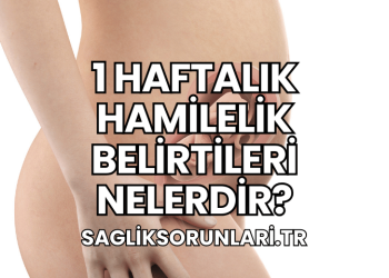 1 Haftalık Hamilelik Belirtileri Nelerdir?