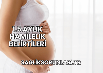 1.5 Aylık Hamilelik Belirtileri