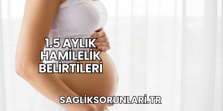 1.5 Aylık Hamilelik Belirtileri