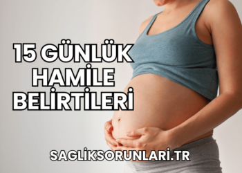 15 Günlük Hamile Belirtileri