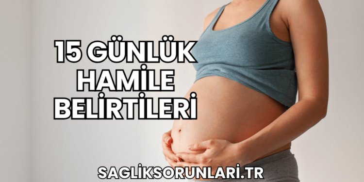 15 Günlük Hamile Belirtileri