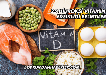 25 Hidroksi Vitamin D3 Eksikliği Belirtileri