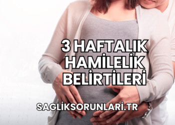 3 Haftalık Hamilelik Belirtileri