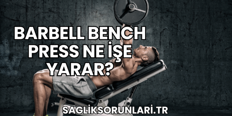 Barbell Bench Press Ne İşe Yarar?