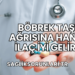 Böbrek Taşı Ağrısına Hangi İlaç İyi Gelir?