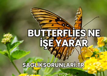 Butterflies Ne İşe Yarar