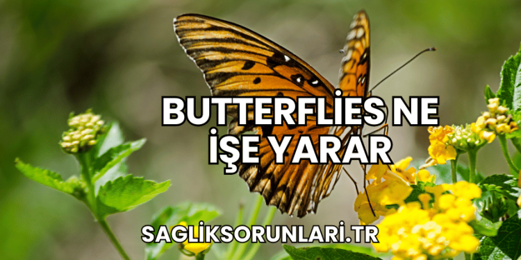 Butterflies Ne İşe Yarar