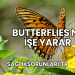 Butterflies Ne İşe Yarar