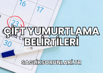 Çift Yumurtlama Belirtileri