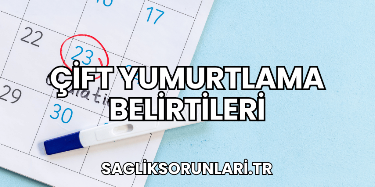 Çift Yumurtlama Belirtileri