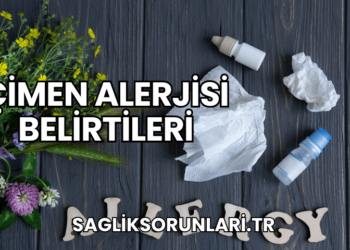 Çimen Alerjisi Belirtileri