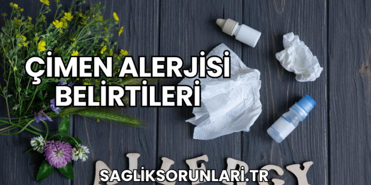 Çimen Alerjisi Belirtileri