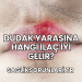Dudak Yarasına Hangi İlaç İyi Gelir?