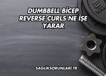 Dumbbell Bicep Reverse Curls Ne İşe Yarar?