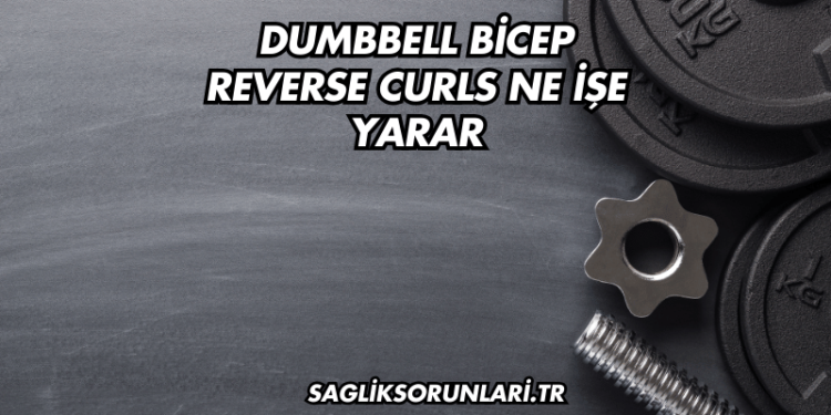Dumbbell Bicep Reverse Curls Ne İşe Yarar?