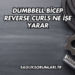Dumbbell Bicep Reverse Curls Ne İşe Yarar?