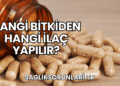 Hangi Bitkiden Hangi İlaç Yapılır?